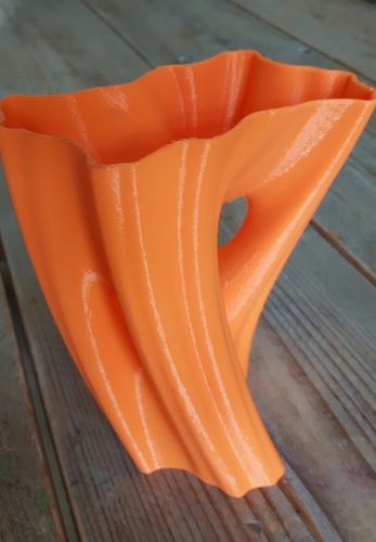 Julia Vase #002 - Flow 3D Print 9552