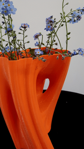 Julia Vase #002 - Flow 3D Print 9554