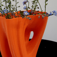 Small Julia Vase #002 - Flow 3D Printing 9554