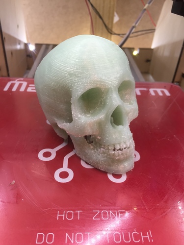 Skull 3D Print 9703
