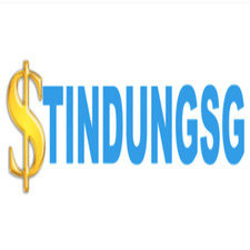 tindungsg's avatar