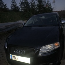 Vid Leva