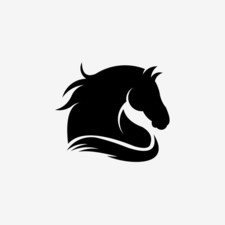 racesite.info1