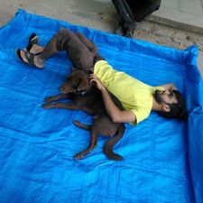 yash_bhandari's avatar