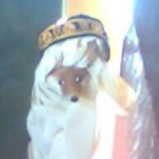 kormi_róka's avatar