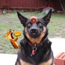 christopher_demitras's avatar