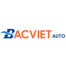 bacvietauto's avatar