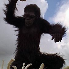 calama_atahualpa's avatar