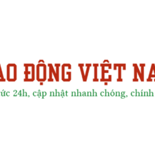 laodongvietnam's avatar