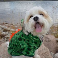 brendan_lush's avatar