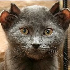 denver_scheid's avatar