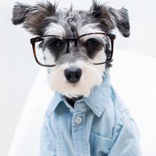 yi_zhang's avatar
