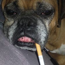 juan_ahlen's avatar