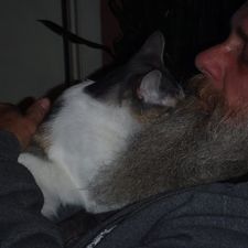 tim_clark's avatar