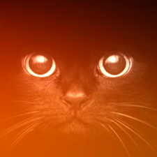 Alfred LeChatNoir's avatar