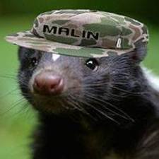skunk_worx's avatar