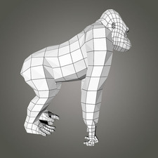 3dgorilla's avatar