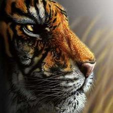 doug_vincent's avatar