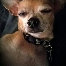 matthew_shanosky's avatar