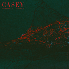 Download Album Casey Where I Go When I Am Sleeping Zip Mp3 3d Maker Pinshape