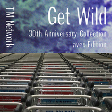 Download Album Tm Network Get Wild 30th Anniversary Coll Zip Mp3 3d Maker Pinshape