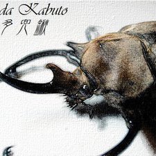 kabuto_honda's avatar