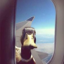 stephen_dann's avatar