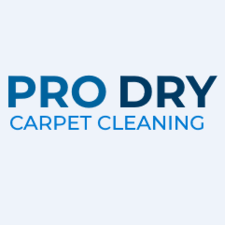 prodrycarpetcleaning