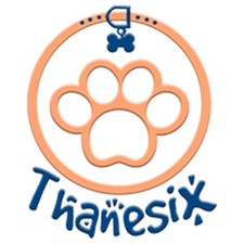 thanesix's avatar