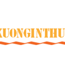 xuonginthungcarton's avatar