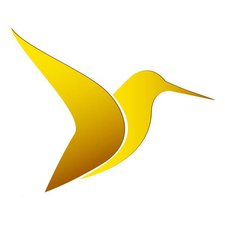vyslim