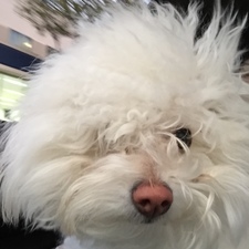 PortedToReality's avatar