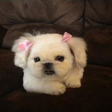 judy_watkins's avatar