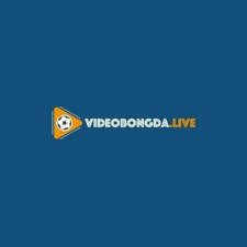 videobongda-live's avatar
