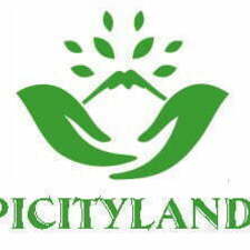 picityland's avatar