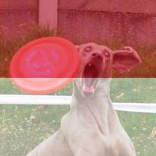 jan_pavlica's avatar