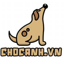 chocanhdotvn's avatar
