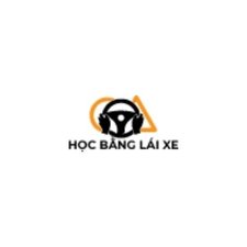 hoc-lai-xe-hang-c's avatar