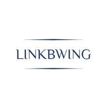linkbwing.com's avatar