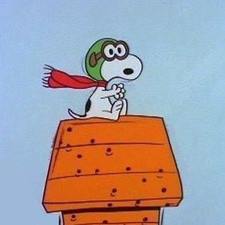 julie_macfarlane's avatar