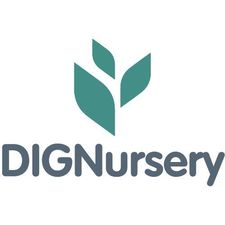 dignursery's avatar