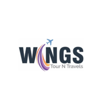 Wings Tour N Travels's avatar