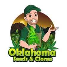 okseedsandclones's avatar