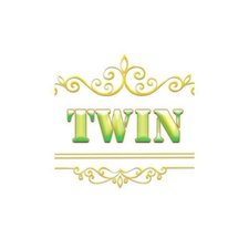 twin68_vin's avatar