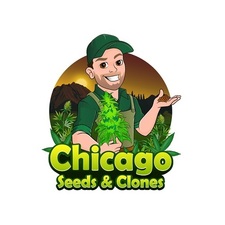 chicagoseedsandclones's avatar