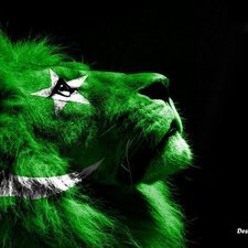 kamran_sheikh's avatar