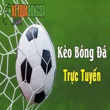tylecacuochn