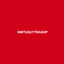 simtuquytragop's avatar