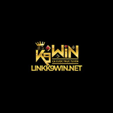 linkk9win's avatar