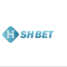 shbet8.org's avatar